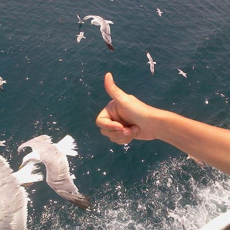 Villa Anais Prínos Dış mekan fotoğraf