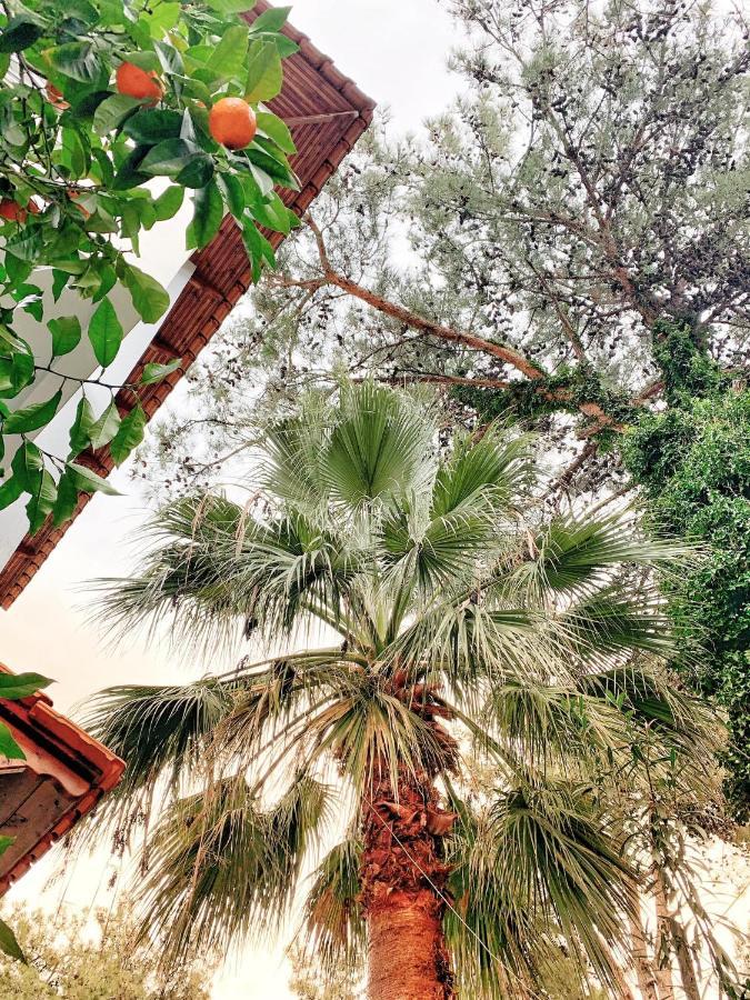 Villa Anais Prínos Dış mekan fotoğraf