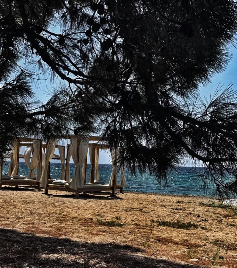 Villa Anais Prínos Dış mekan fotoğraf